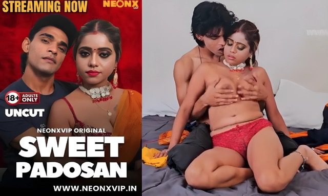 Sweet Padosan 2025 Uncut Hindi Web Series –  Neonx