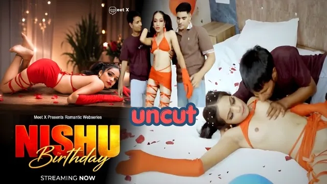 Nishu Birthday Uncut Hindi Hot Web Series – Meetx